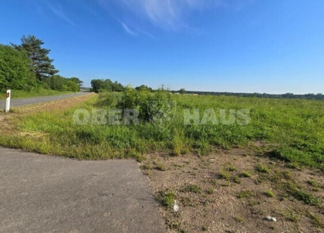 Parduodamas namų valdos paskirties sklypas Moluvėnų k., Trakų r. sav., 220 a ploto