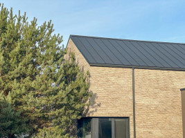 Parduodamas namas Draugystės g., Ringaudų k., Kauno r. sav., 132.51 m2 ploto, 2 aukštai 3