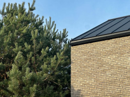 Parduodamas namas Draugystės g., Ringaudų k., Kauno r. sav., 132.51 m2 ploto, 2 aukštai 8