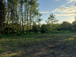 Parduodamas kitos paskirties sklypas Baseino g., Avižienių k., Vilniaus r. sav., 34.41 a ploto 5