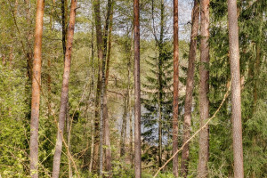 Parduodamas namas Gvazdikų Sodų g., Antakalnis, Vilniaus m., Vilniaus m. sav., 107.79 m2 ploto, 2 aukštai 35
