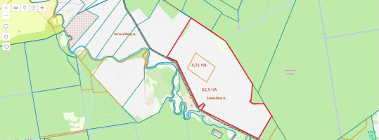 Parduodamas sklypas Januškų k., Pasvalio r. sav., 6700 a ploto 1