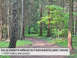 Parduodamas kitos paskirties sklypas Kelmijos Sodų 32-oji g., Salininkai, Vilniaus m., Vilniaus m. sav., 6 a ploto 3