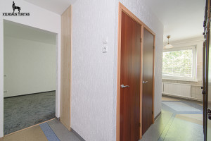 Nuomojamas butas Tuskulėnų g., Žirmūnai, Vilniaus m., Vilniaus m. sav., 30 m2 ploto, 1 kambariai 4