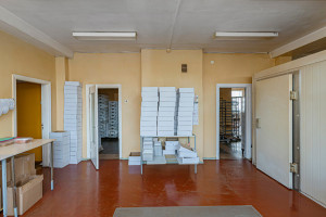Parduodamos administracinės, gamybinės, kitos paskirties, maitinimo, sandėliavimo patalpos Alytaus g., Neveronių k., Kauno r. sav., 1242.9 m2 ploto 14