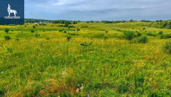 Parduodamas  sklypas Vaivadiškių k., Vilniaus r. sav., 50 a ploto 12