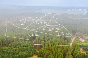 Parduodamas  sklypas Kelmės r. sav., Svilės k., Svilės, 1424 a ploto 6