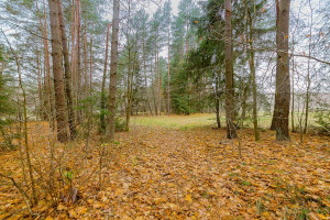 Parduodamas  sklypas Kelmės r. sav., Svilės k., Svilės, 1424 a ploto 14