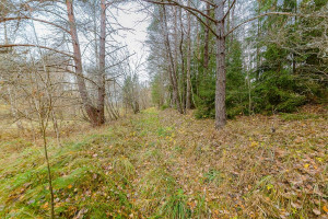 Parduodamas  sklypas Kelmės r. sav., Svilės k., Svilės, 1424 a ploto 25
