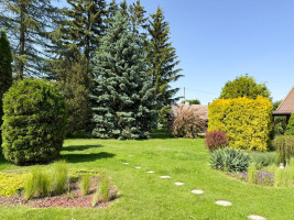 Parduodamas namas Gandrų g., Pasvalio m., Pasvalio r. sav., 130 m2 ploto, 1 aukštai 47