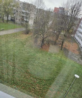 Parduodamas butas Baltijos pr., Baltijos, Klaipėdos m., Klaipėdos m. sav., 29 m² ploto 1 kambarys 12