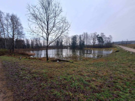 Parduodamas  sklypas Varkalių k., Plungės r. sav., 300 a ploto 8