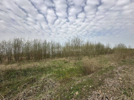 Parduodamas namų valdos paskirties sklypas Pamolainių g. II-asis aklg., Stetiškių k., Panevėžio r. sav., 9.17 a ploto 2