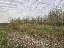 Parduodamas namų valdos paskirties sklypas Pamolainių g. II-asis aklg., Stetiškių k., Panevėžio r. sav., 9.17 a ploto 3
