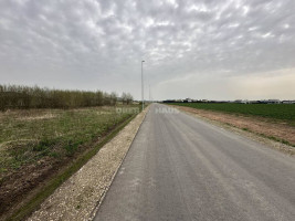 Parduodamas namų valdos paskirties sklypas Pamolainių g. II-asis aklg., Stetiškių k., Panevėžio r. sav., 9.17 a ploto 10