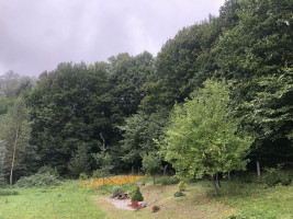Parduodamas daugiaaukštės gyvenamosios paskirties sklypas Klaipėdos apskritis, Klaipėdos r. sav., Purmalių k., Putinų g., 12.51 a ploto 5