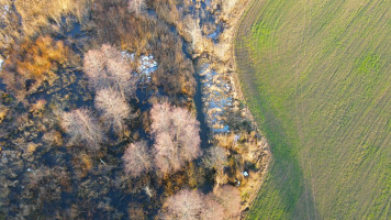 Parduodamas  sklypas Gasčionių k., Šalčininkų r. sav., 70.85 a ploto 12