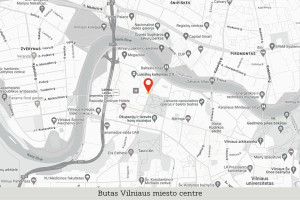 Nuomojamas butas J. Tumo-Vaižganto g., Senamiestis, Vilniaus m., Vilniaus m. sav., 99.31 m2 ploto, 4 kambariai 21