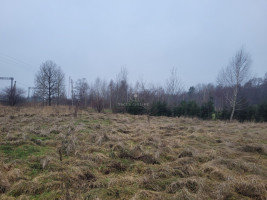 Parduodamas  sklypas Pušyno g., Kūlupėnų k., Kretingos r. sav., 37 a ploto 6