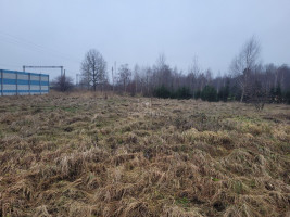 Parduodamas  sklypas Pušyno g., Kūlupėnų k., Kretingos r. sav., 37 a ploto 7