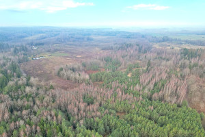 Parduodamas  sklypas Maidonių k., Trakų r. sav., 919.59 a ploto 6