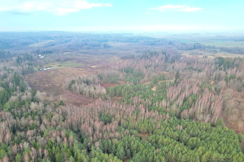 Parduodamas sklypas Maidonių k., Trakų r. sav., 919.59 a ploto 6