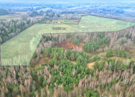 Parduodamas  sklypas Maidonių k., Trakų r. sav., 919.59 a ploto