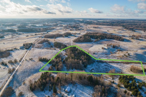 Parduodamas kitos paskirties sklypas Kreiviškių k., Molėtų r. sav., 443 a ploto 4