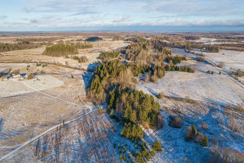 Parduodamas kitos paskirties sklypas Kreiviškių k., Molėtų r. sav., 443 a ploto 5
