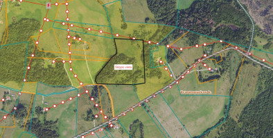 Parduodamas kitos paskirties sklypas Kreiviškių k., Molėtų r. sav., 443 a ploto 17