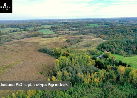 Parduodamas žemės ūkio 9.5 ha. sklypas šalia Šventupio pelkės