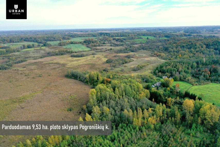 Parduodamas žemės ūkio 9.5 ha. sklypas šalia Šventupio pelkės 1