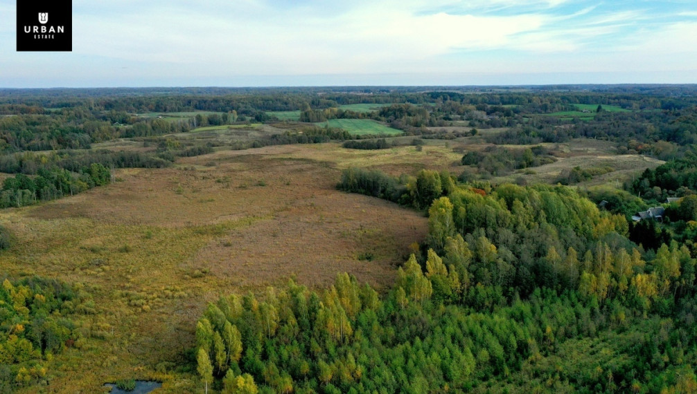 Parduodamas žemės ūkio 9.5 ha. sklypas šalia Šventupio pelkės 5