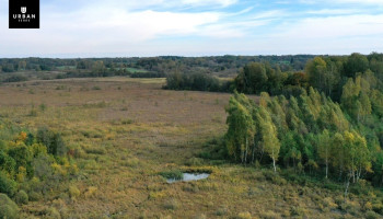 Parduodamas žemės ūkio 9.5 ha. sklypas šalia Šventupio pelkės 7