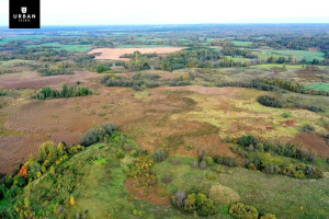Parduodamas žemės ūkio 9.5 ha. sklypas šalia Šventupio pelkės 8