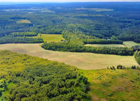 Parduodamas 5 ha sklypas Vytautavos kaime, Trakų r. Parduodamas 5 ha sklypas Vytautavos kaime, Trakų r.