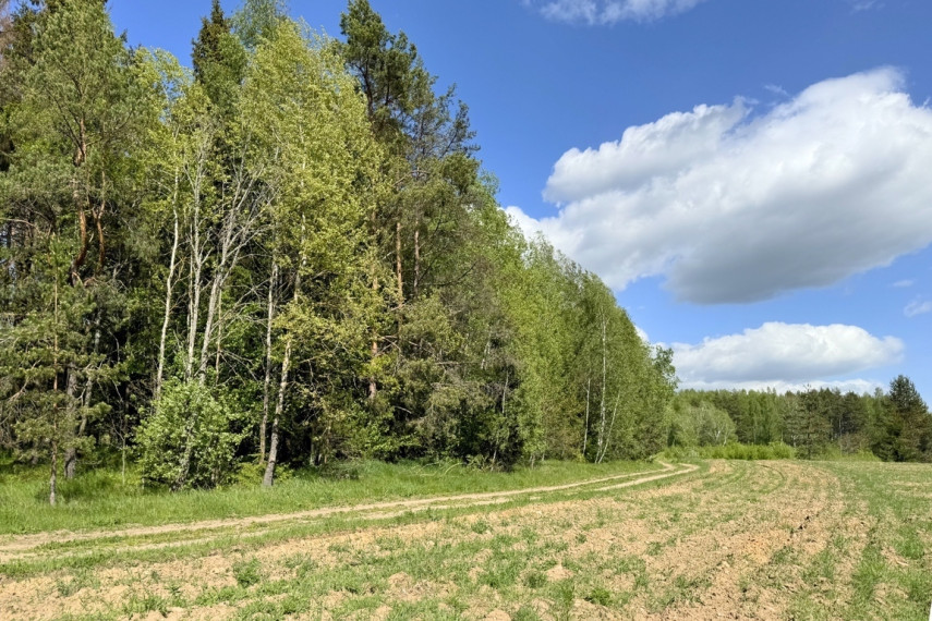 Parduodamas 5 ha sklypas Vytautavos kaime, Trakų r. 3