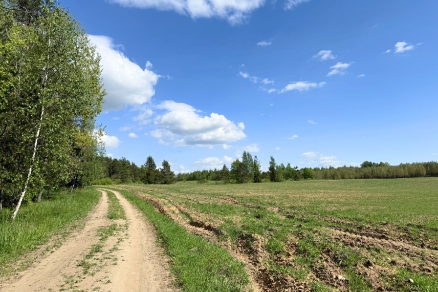 Parduodamas 5 ha sklypas Vytautavos kaime, Trakų r. 4