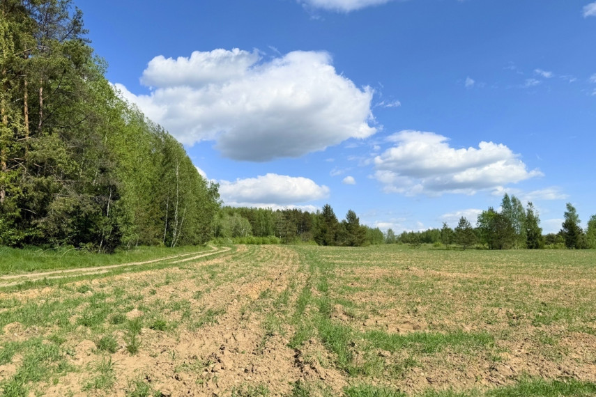 Parduodamas 5 ha sklypas Vytautavos kaime, Trakų r. 5