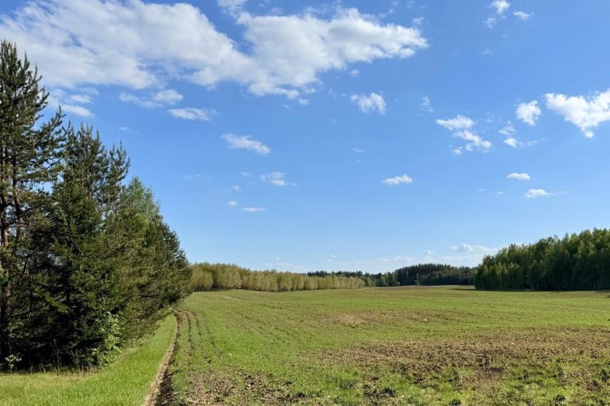 Parduodamas 5 ha sklypas Vytautavos kaime, Trakų r. 6