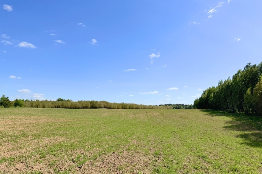 Parduodamas 5 ha sklypas Vytautavos kaime, Trakų r. 7