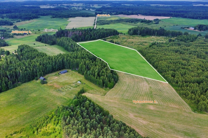 Parduodamas 5 ha sklypas Vytautavos kaime, Trakų r. 10