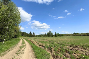Parduodamas 5 ha sklypas Vytautavos kaime, Trakų r. 8