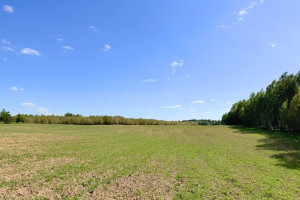 Parduodamas 5 ha sklypas Vytautavos kaime, Trakų r. 9