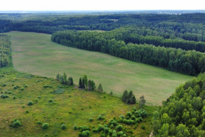 Parduodamas 5 ha sklypas Vytautavos kaime, Trakų r. 11