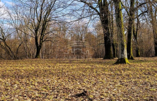 Parduodamas namas Šalpėnų k., Klaipėdos r. sav., 118 m2 ploto, 2 aukštai 5
