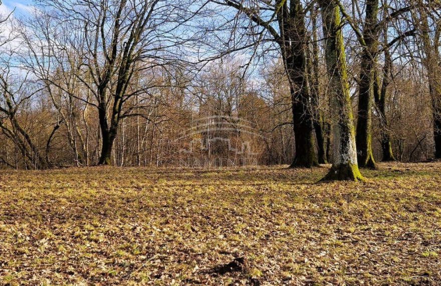 Parduodamas namas Šalpėnų k., Klaipėdos r. sav., 118 m2 ploto, 2 aukštai 5