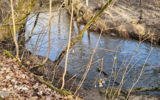Parduodamas namas Šalpėnų k., Klaipėdos r. sav., 118 m2 ploto, 2 aukštai 8