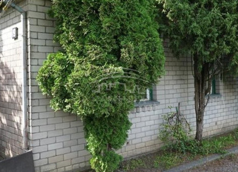 Parduodamas namas Kvietinių k., Klaipėdos r. sav., 62 m2 ploto, 1 aukštai