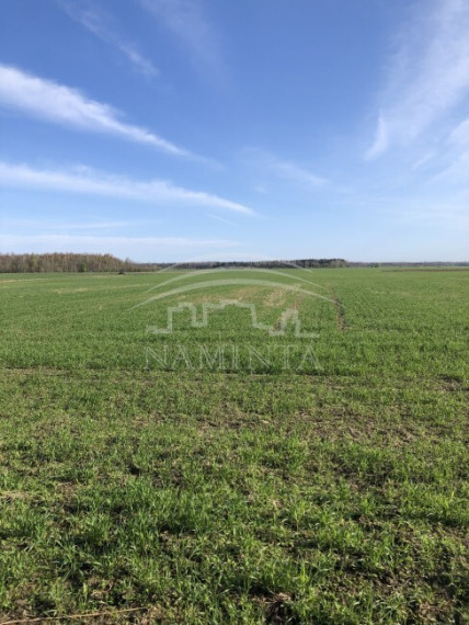 Parduodamas namas Pakamorių k., Klaipėdos r. sav., 109 m2 ploto, 1 aukštai 8
